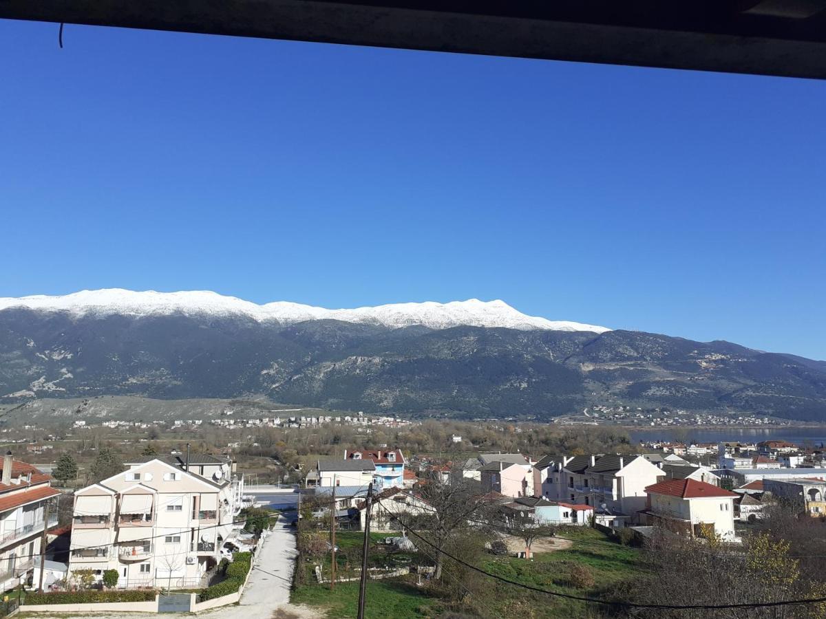 The View Attic Apartment Ioannina Luaran gambar