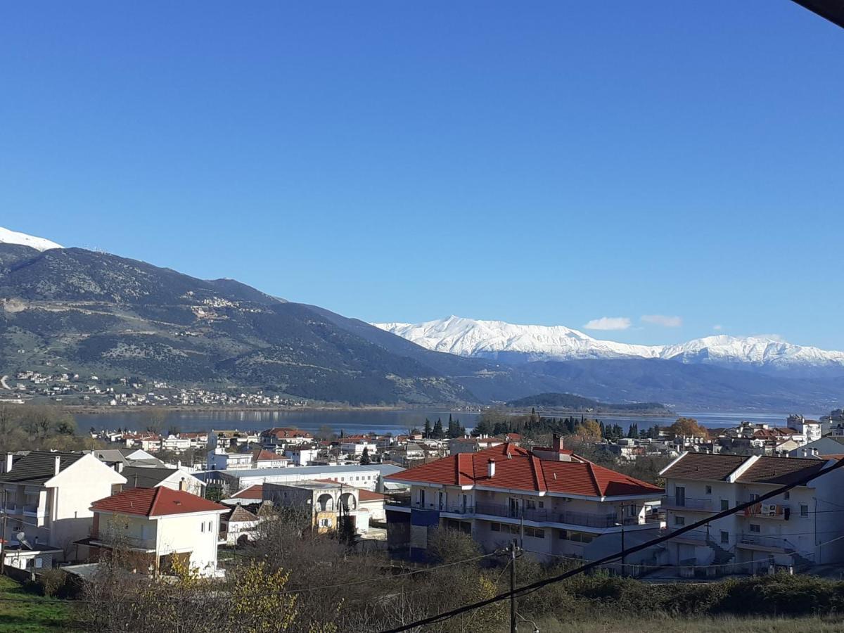 The View Attic Apartment Ioannina Luaran gambar