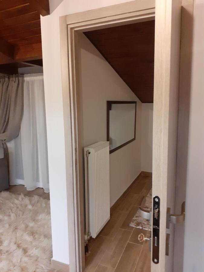 The View Attic Apartment Ioannina Luaran gambar