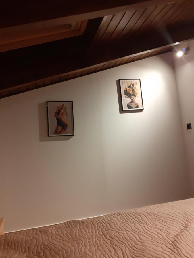 The View Attic Apartment Ioannina Luaran gambar