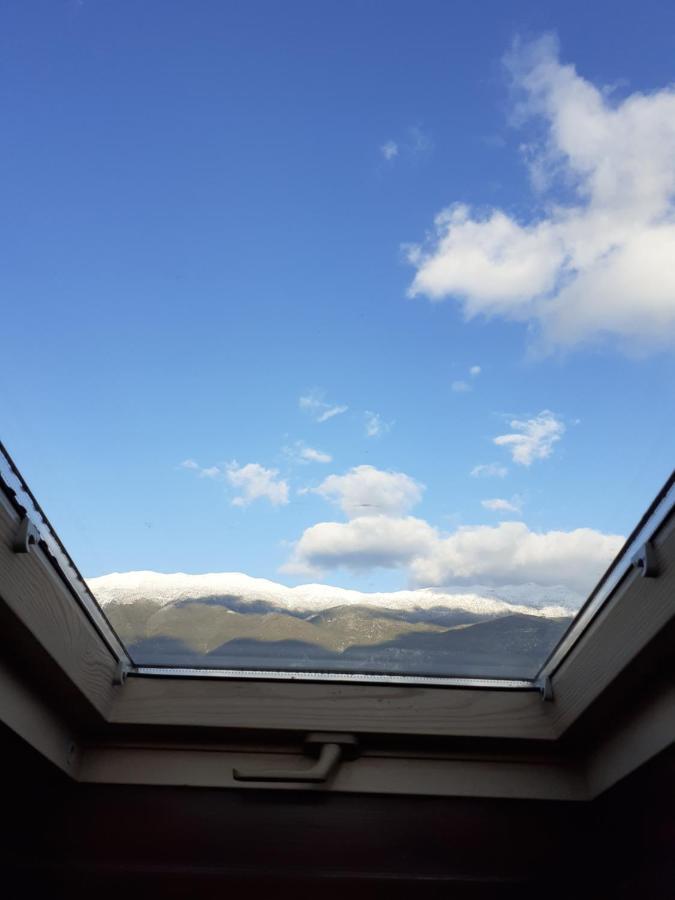 The View Attic Apartment Ioannina Luaran gambar